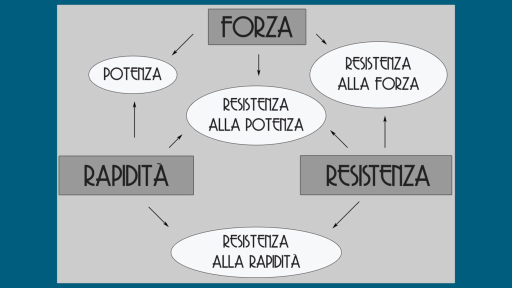 Capacità organico muscolari