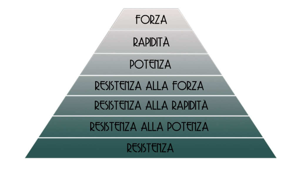 Piramide capacità organico muscolari