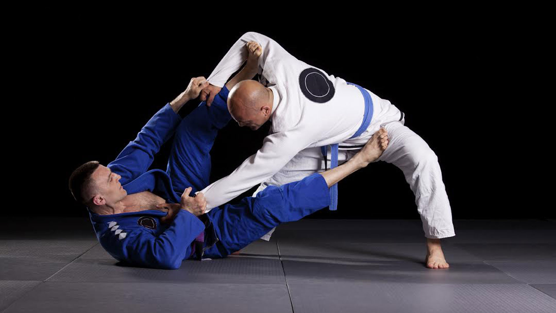 единоборства схватки. единоборства схватки. единоборства схватки. борец джиу джитсу. джиу джитсу бразилия.