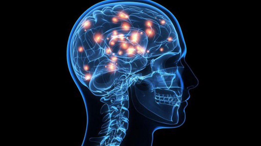 neuroscienze movimento