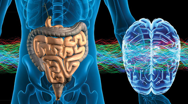 Il 2° cervello: intestino e microbiota