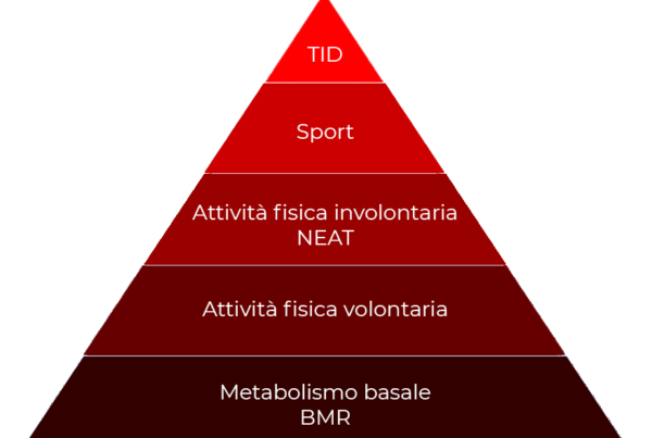 Metabolismo 01