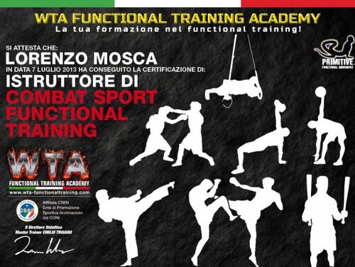 2013-08-WTA-Combat-Functional-Trainer