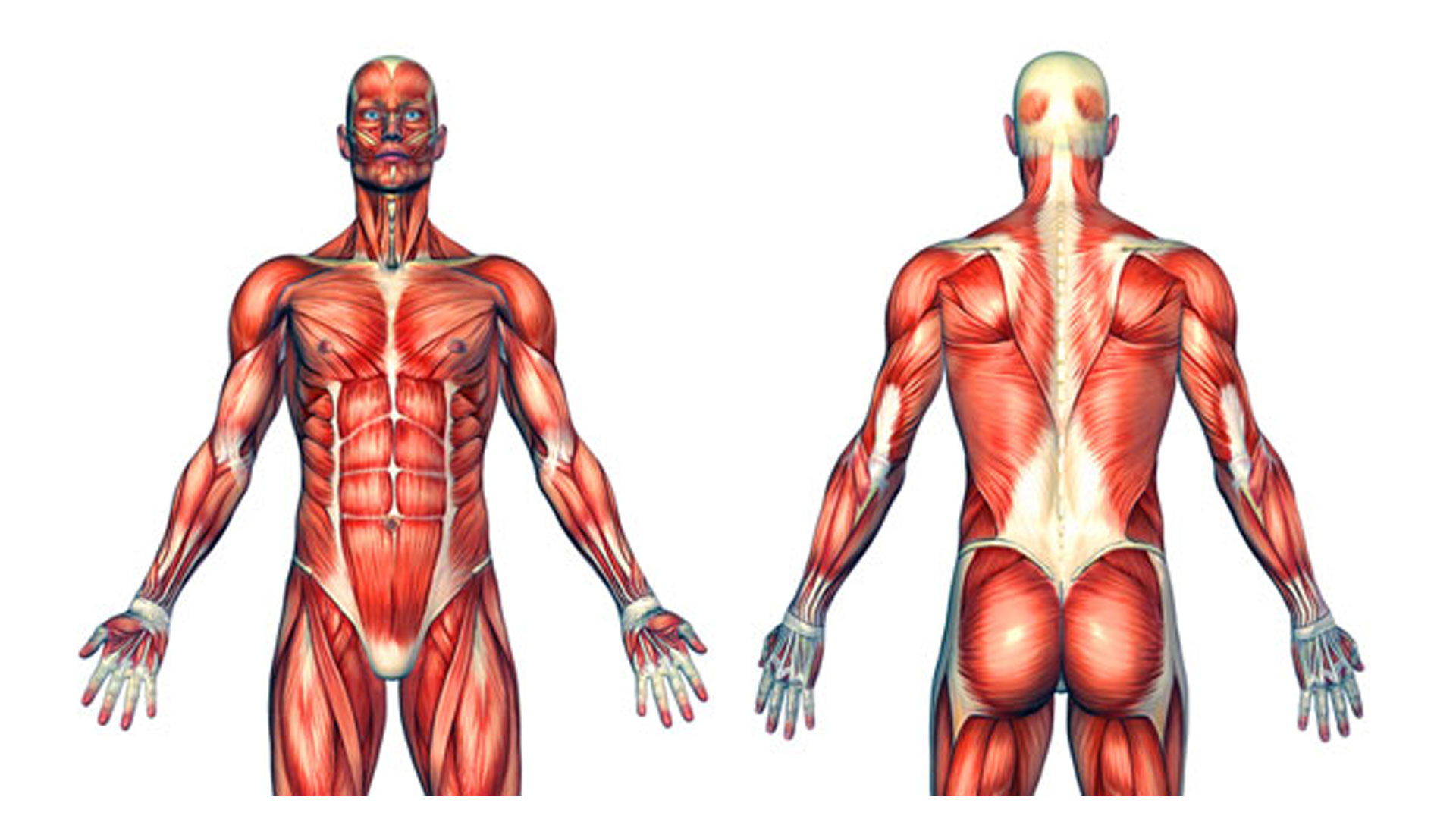 Body Rub Nwi