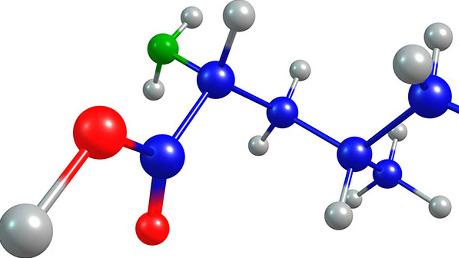 Aminoacidi essenziali Manipulus Mosca