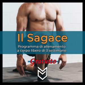 Il Sagace (programma allenamento gratuito)