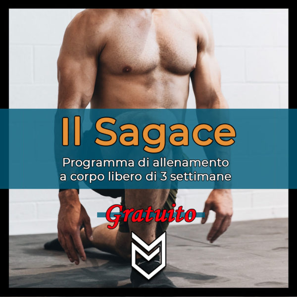 Il Sagace (programma allenamento gratuito)